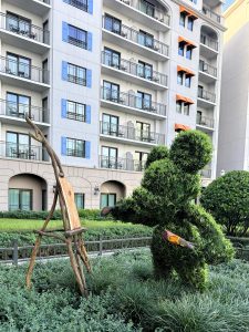 disneys-riviera-resort-mickey-topiary